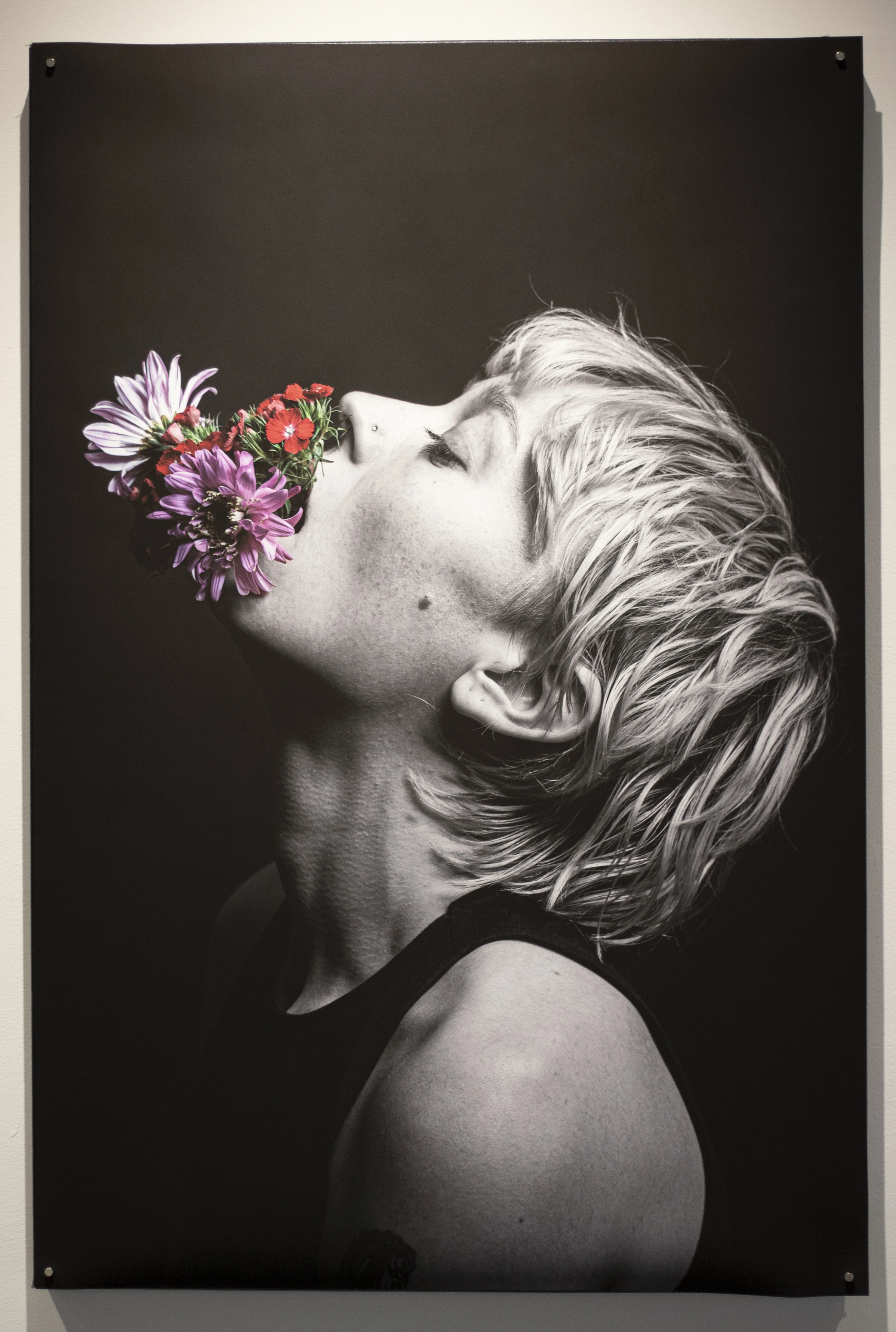Dissimulation by Lindsey Koma