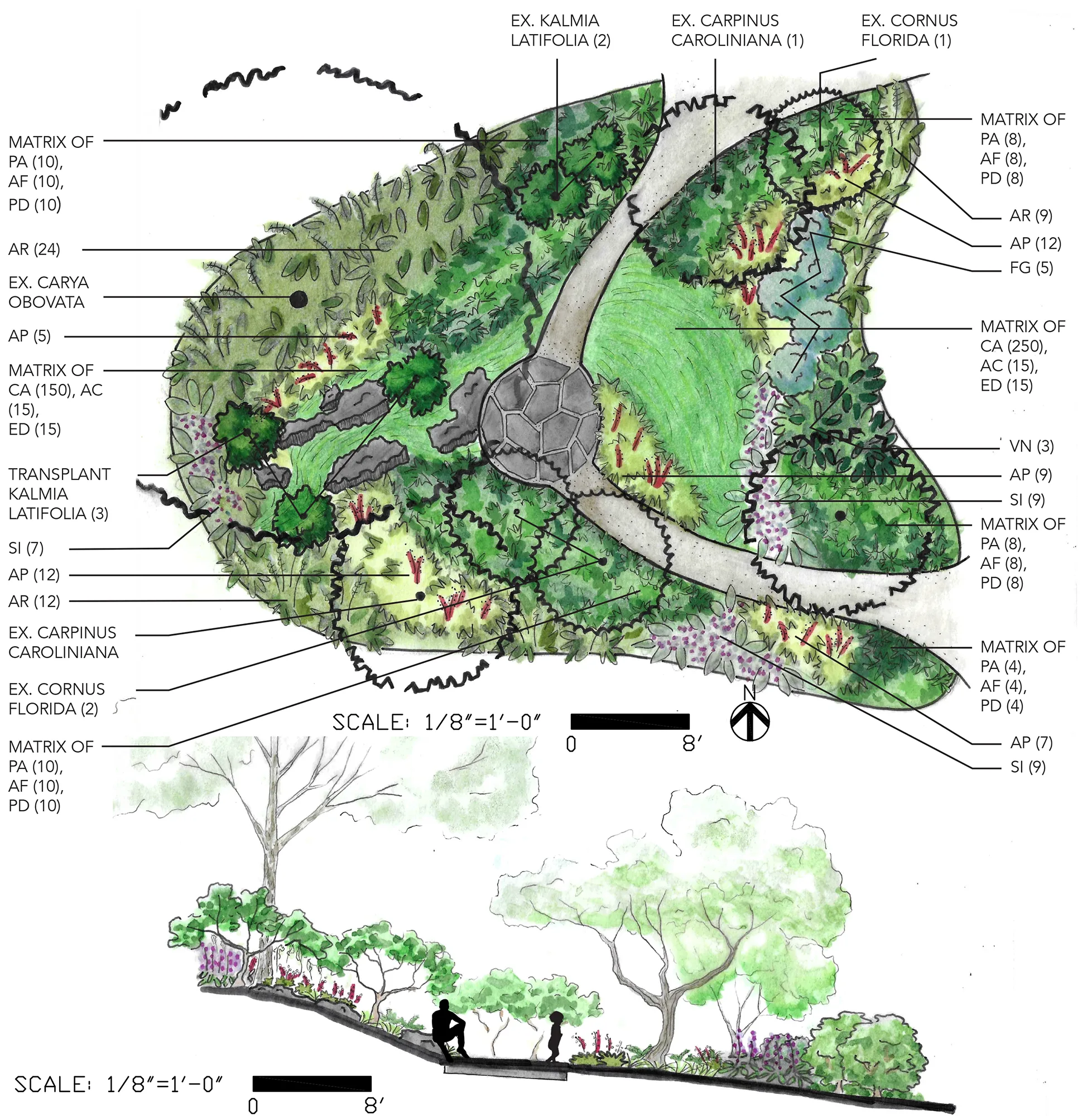 Woodland Garden by Claire Racette
