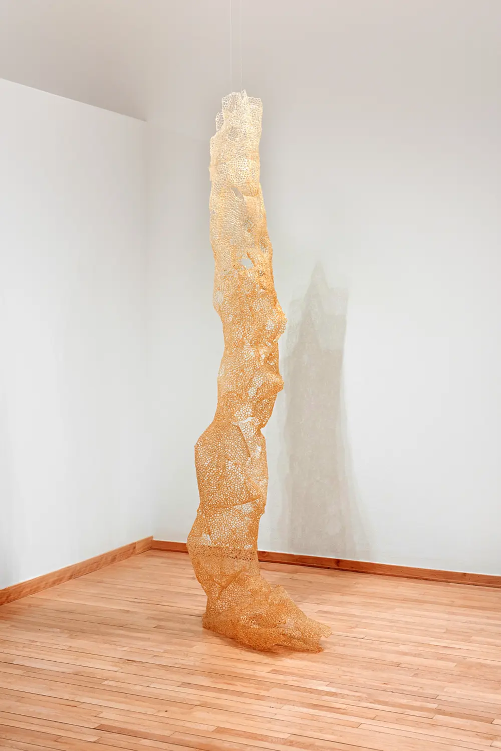 Untitled by Brendan O'Shaughnessy