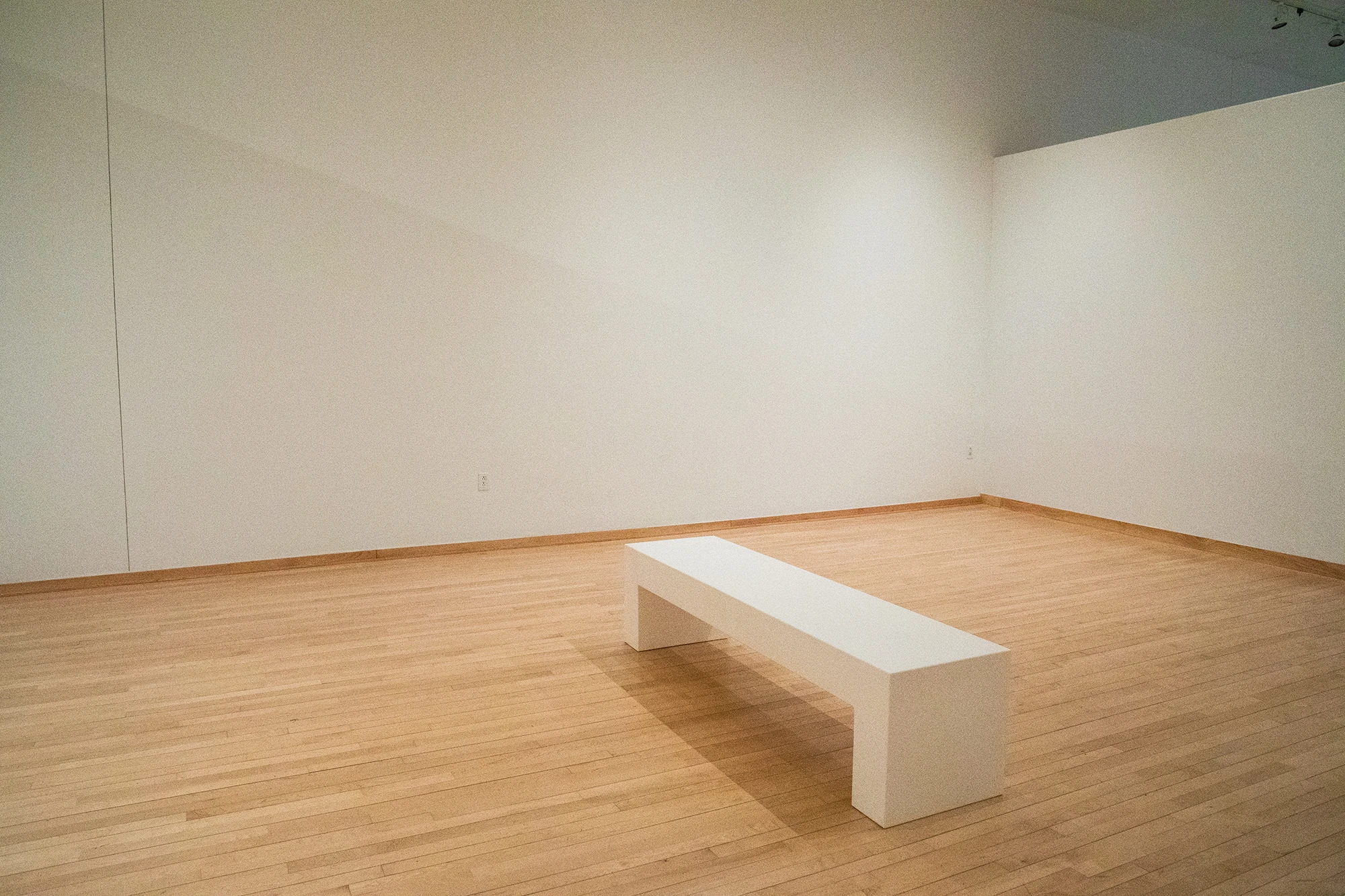 Disclaimers Prevent me from showing work here by Yaqeen Alyamani