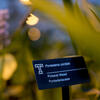 A label for a plant inside Ambler's greenhouse