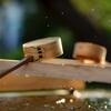 Water droplets on wood.