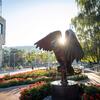 An owl statue on Temple University’s campus.