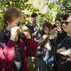 Students inspecting plants outside.