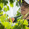 A student looking at plants in a greenhouse.