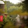 The Ambler campus is surrounded by lush green trees, with glimpses of two buildings partially visible in the background. A bright red Temple flag stands out, adding a pop of color amidst the greenery.